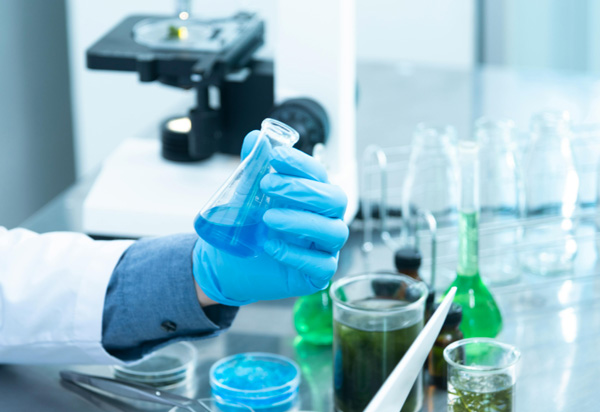 欢迎访问我们的官方网站